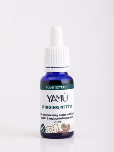 stinging nettle tincture
