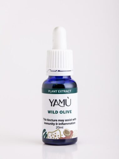wild olive leaves tincture