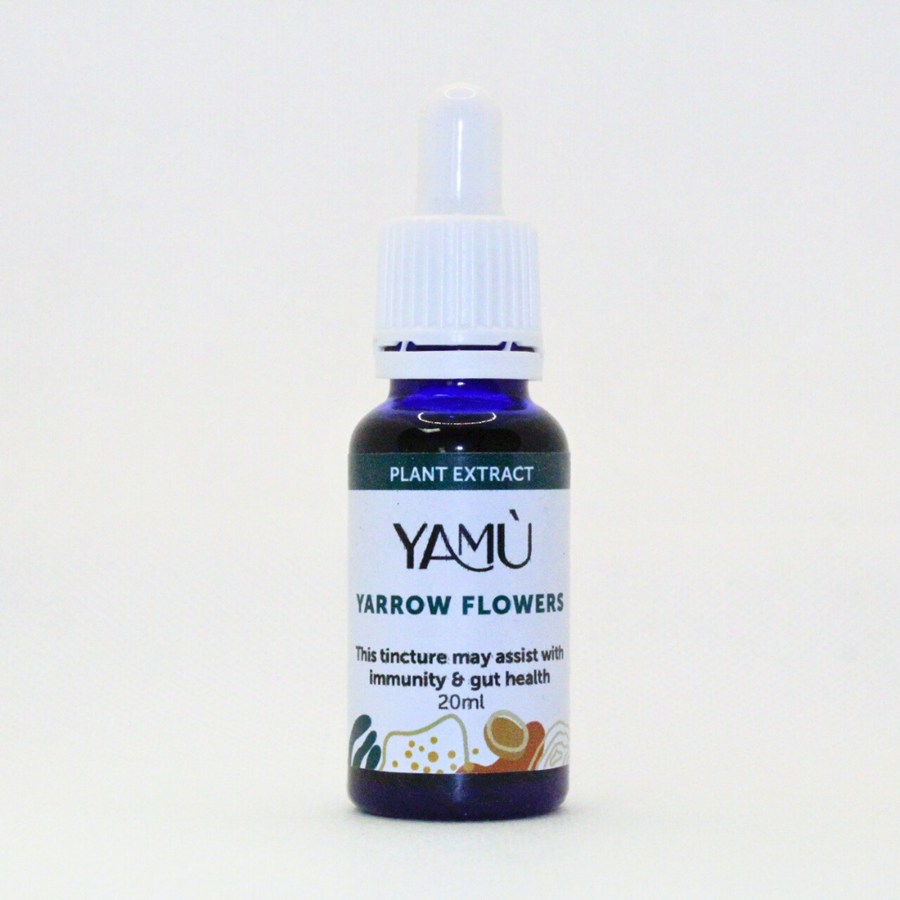 yarrow flowers tincture yarrow flowers tincture