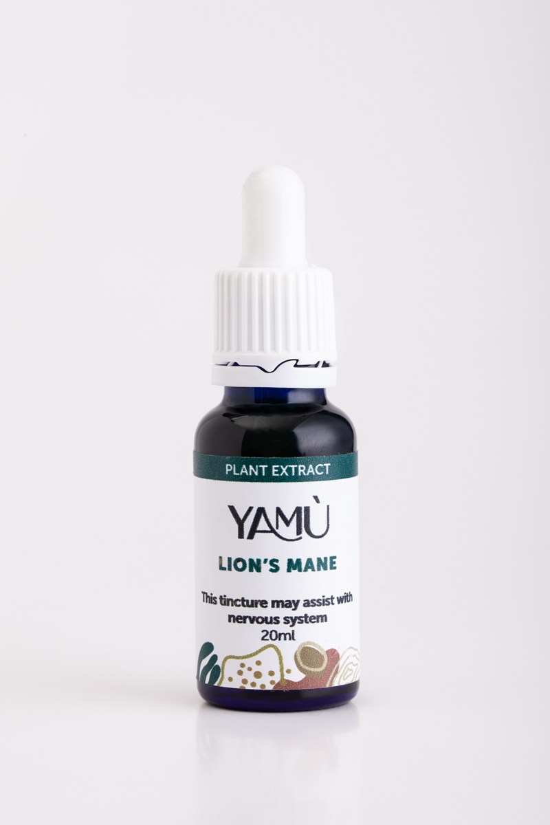 lion's mane tincture lion's mane tincture